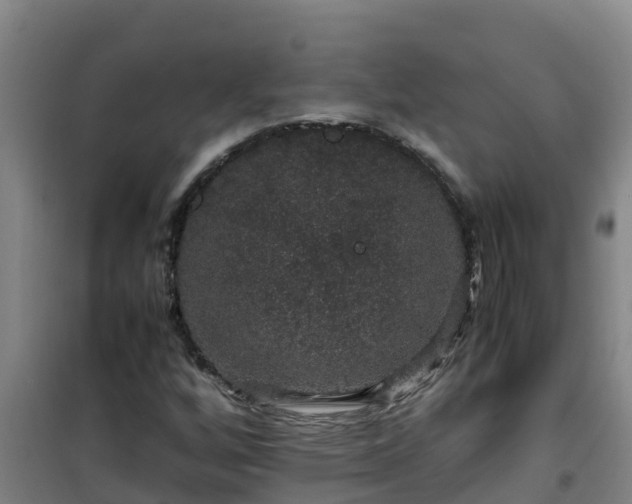 X0000101101256200807031742
