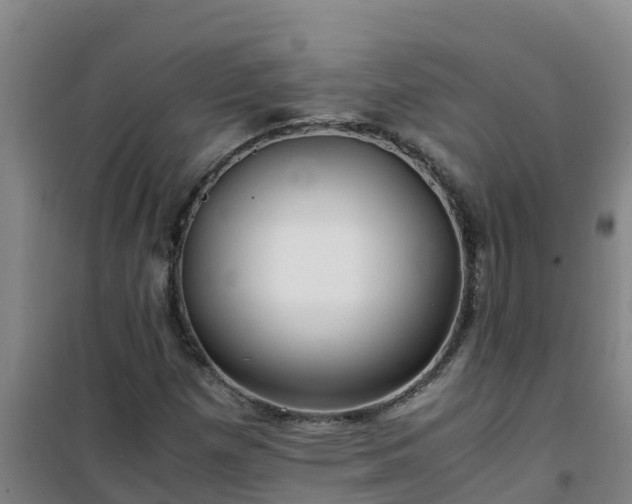 X0000101101257200807031742