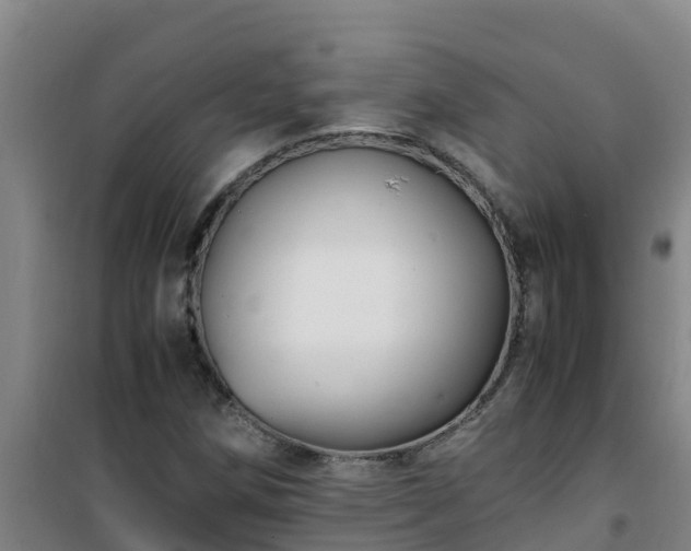 X0000101101258200807031742