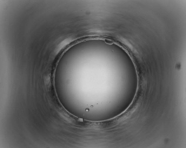 X0000101101259200807031742