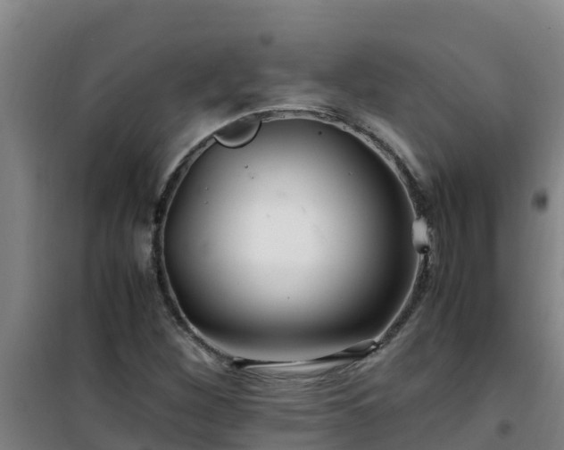 X0000101101260200807031742