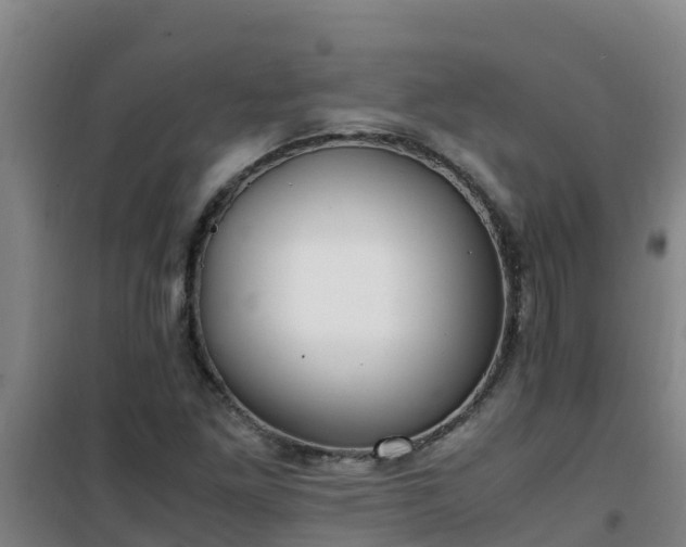 X0000101101261200807031742