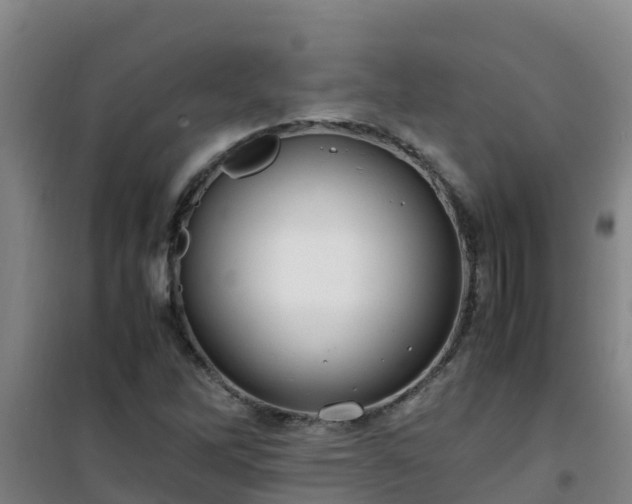 X0000101101262200807031742