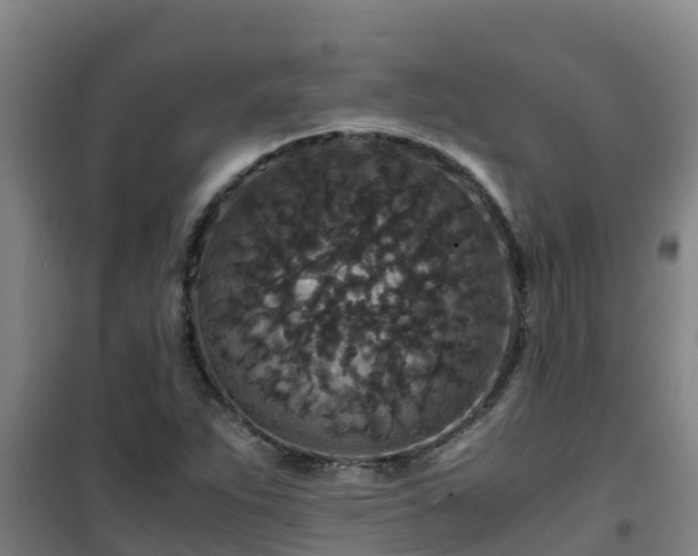 X0000101101263200807031742