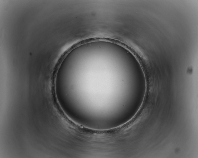 X0000101101264200807031742