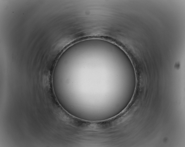 X0000101101265200807031742