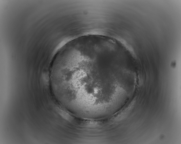 X0000101101266200807031742
