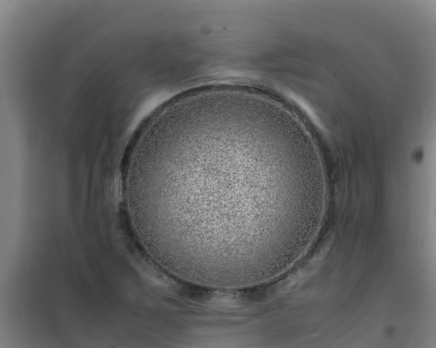 X0000101101267200807031742