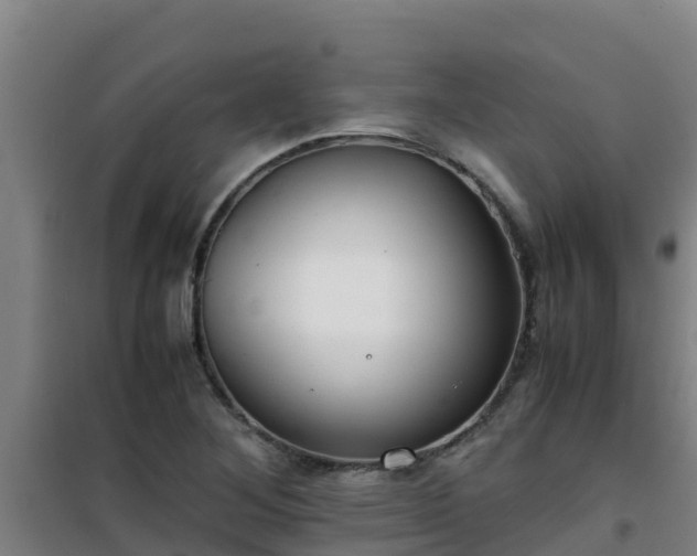 X0000101101268200807031742