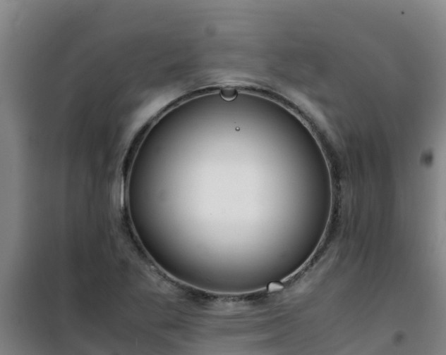 X0000101101269200807031742