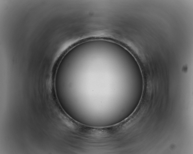 X0000101101270200807031742