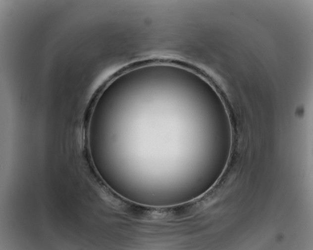 X0000101101271200807031742