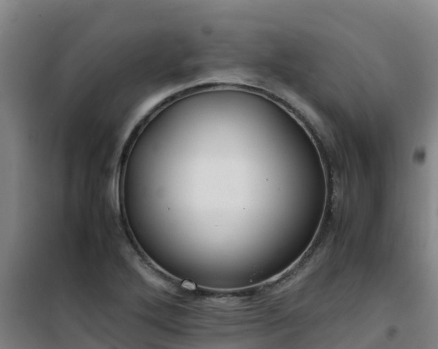 X0000101101272200807031742