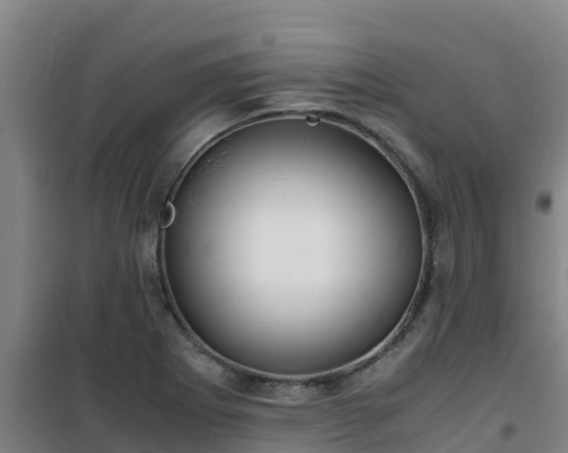 X0000101101273200807031742