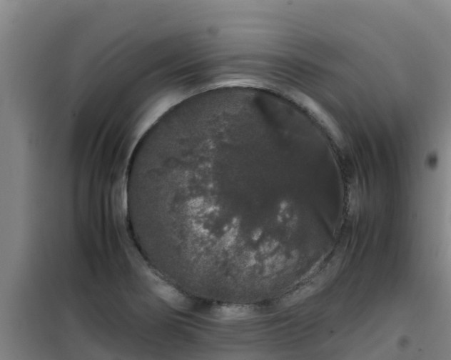X0000101101274200807031742