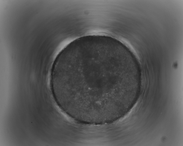 X0000101101277200807031742