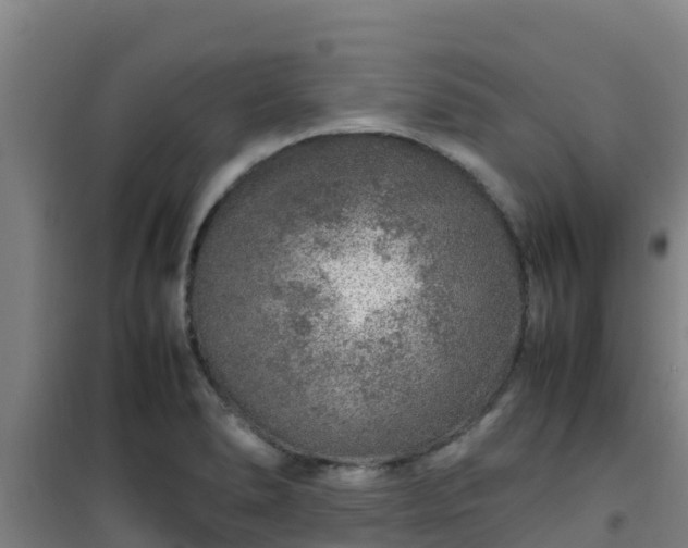 X0000101101278200807031741
