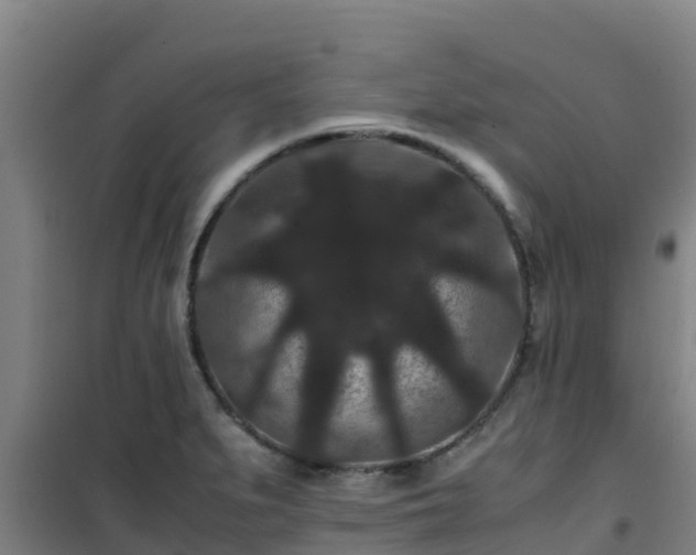 X0000101101279200807031741