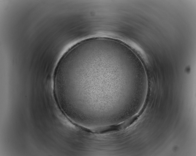 X0000101101280200807031741