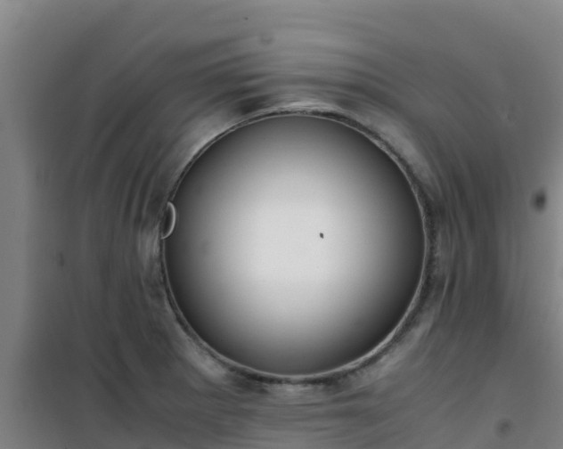 X0000101101281200807031741