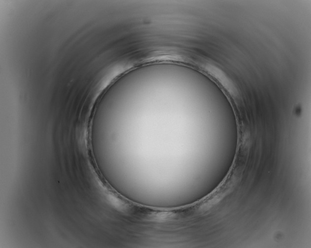 X0000101101282200807031741