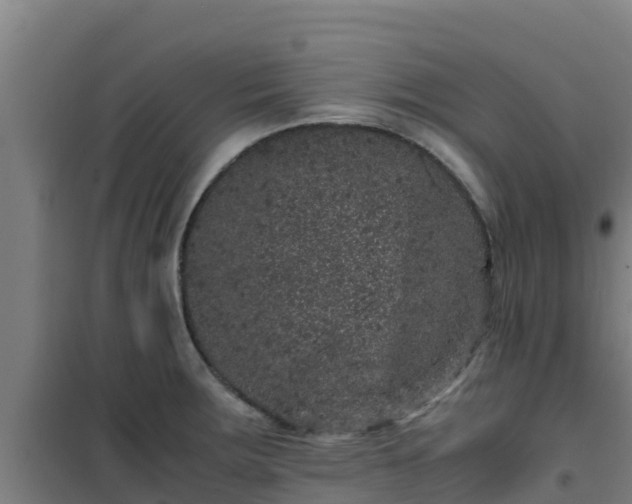 X0000101101283200807031741