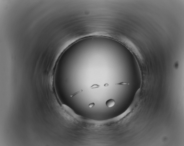 X0000101101284200807031741