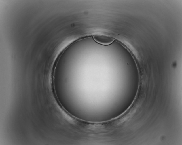 X0000101101285200807031741