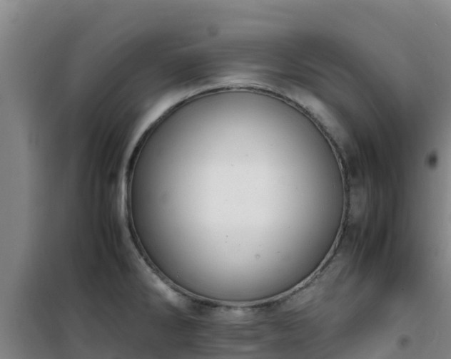 X0000101101286200807031741