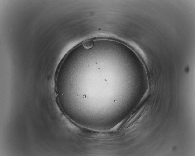 X0000101101287200807031741
