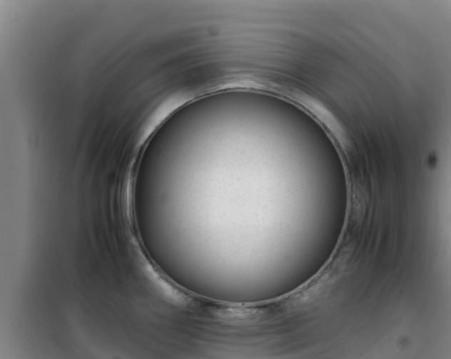 X0000101101290200807031741