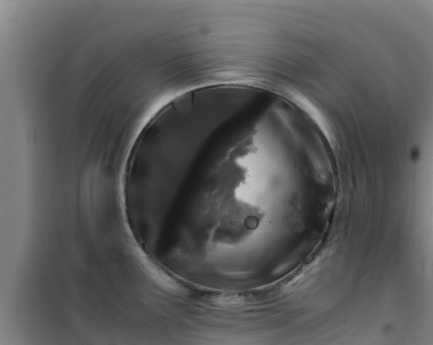 X0000101101291200807031741