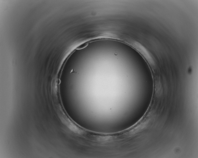 X0000101101292200807031741