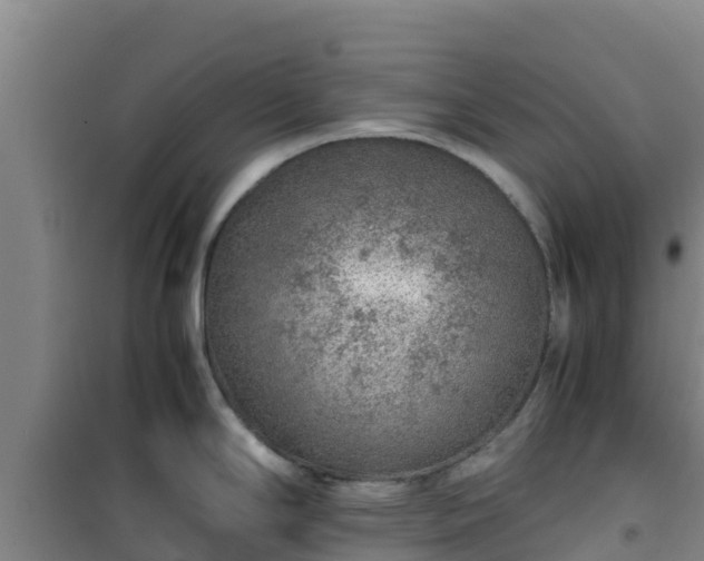 X0000101101294200807031741