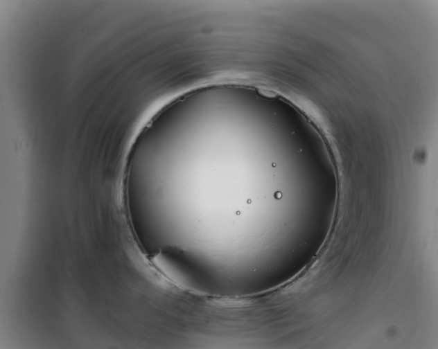 X0000101101296200807031741