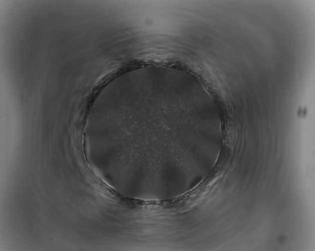 X0000101101297200807031740