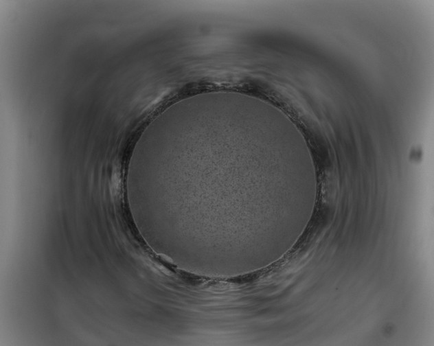 X0000101101298200807031740
