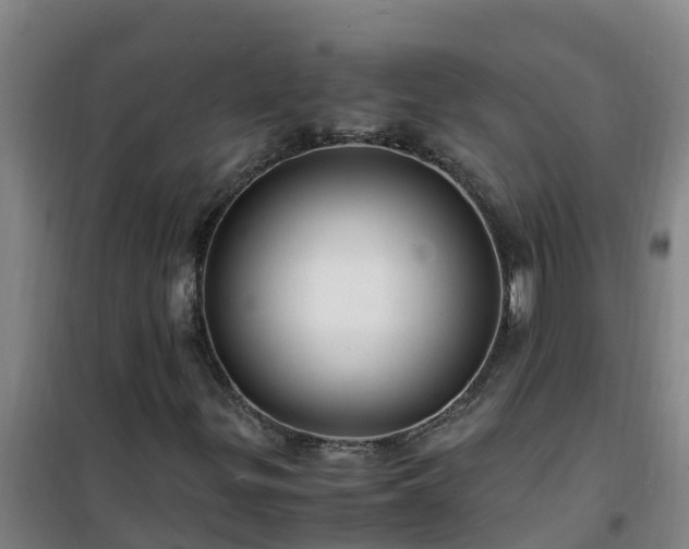 X0000101101299200807031740