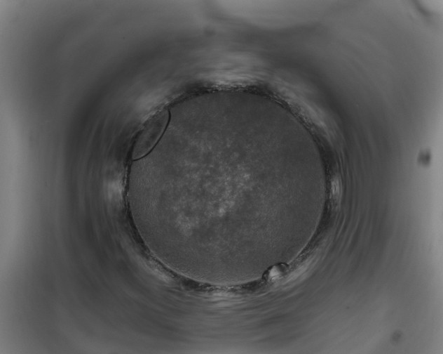 X0000101101300200807031740