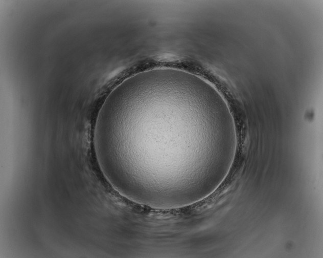 X0000101101301200807031740