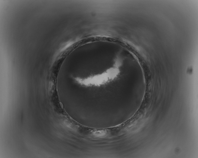 X0000101101303200807031740