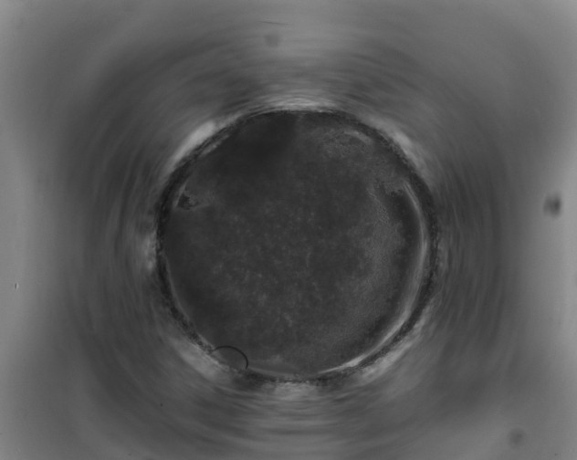 X0000101101306200807031741