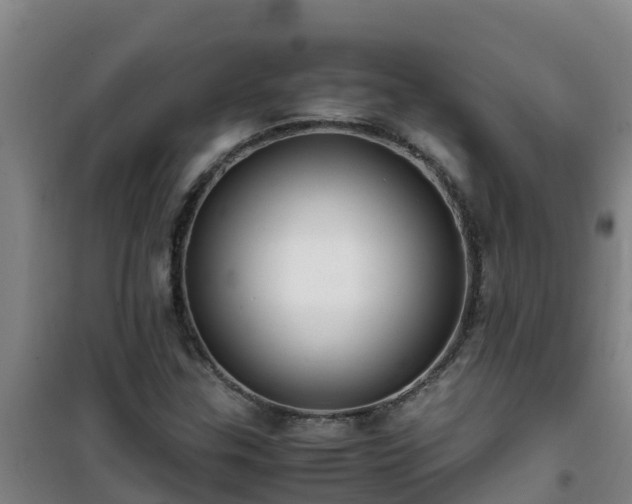X0000101101307200807031741