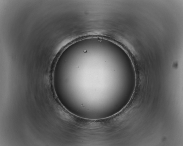 X0000101101308200807031741