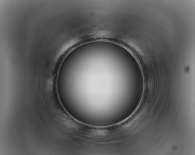 X0000101101309200807031741