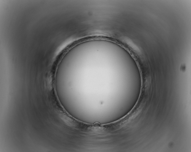X0000101101310200807031741