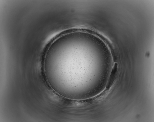 X0000101101311200807031741