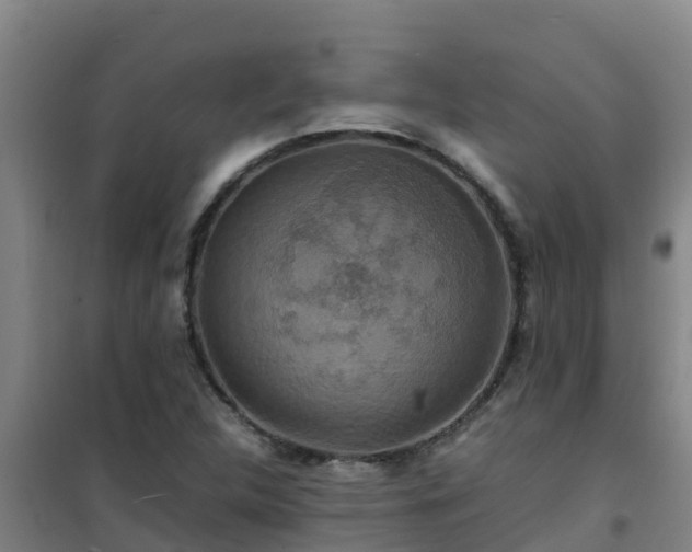 X0000101101312200807031741