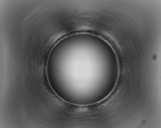 X0000101101313200807031741