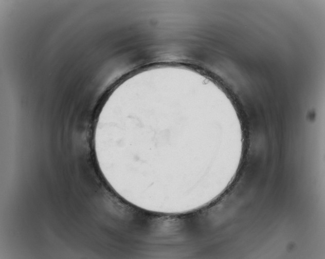 X0000101101314200807031741
